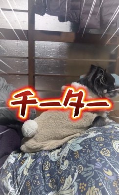 まさかの