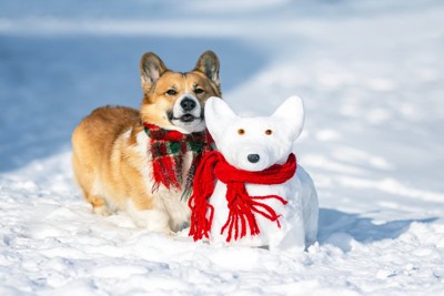 雪だるまと犬