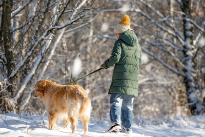 散歩をする大型犬