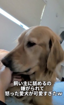 ペロペロ