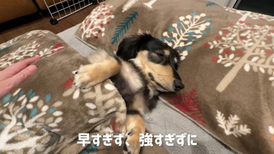 早すぎず、強すぎず