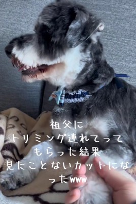 ん？頭の形がおかしい…