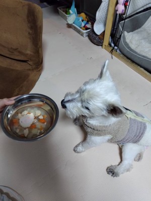 ちーちゃん