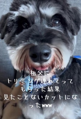 「さっぱり」とオーダーしたら…