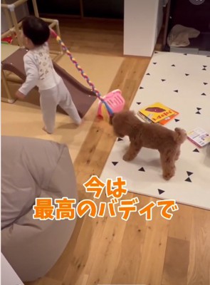 おもちゃで遊ぶ赤ちゃんと犬2