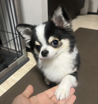 格好良すぎる