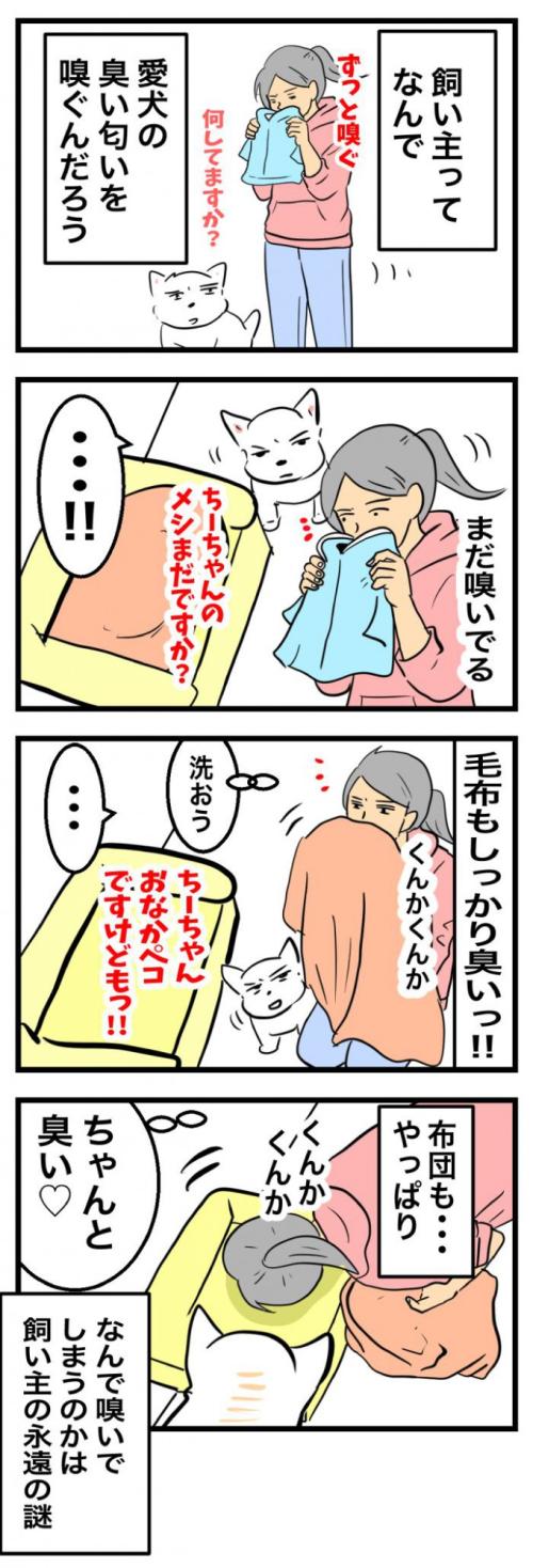 ちーちゃんですけどもっ【第343話】　2