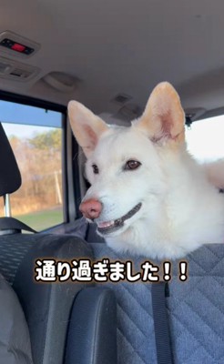 「よかった～！！」