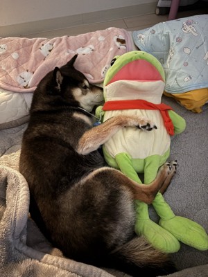 中身は…