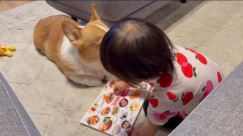 いなり君に読み聞かせをする女の子4