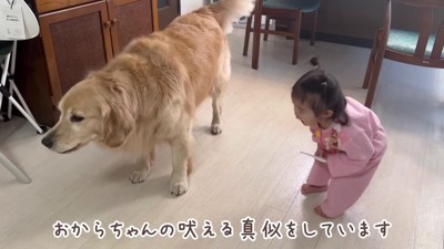 「パパを独り占めしないで！！」
