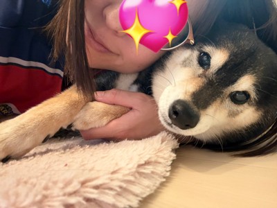 柴犬