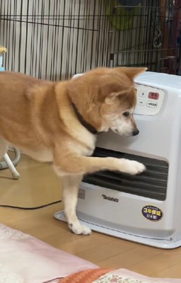 「ここだよ」