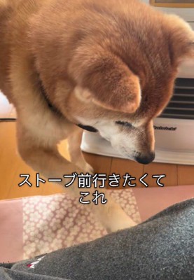 「どいて」