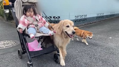 仲良しな3兄妹