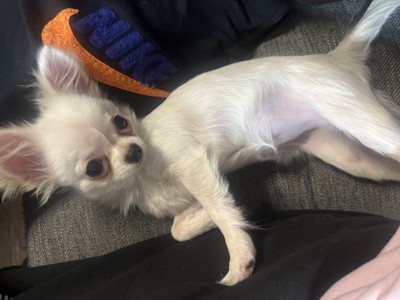 表情豊か