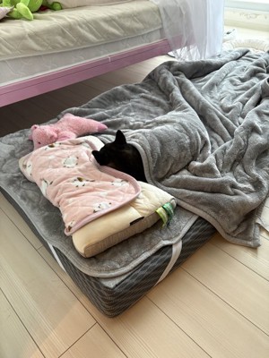 完全