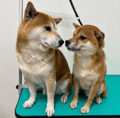 仲良し