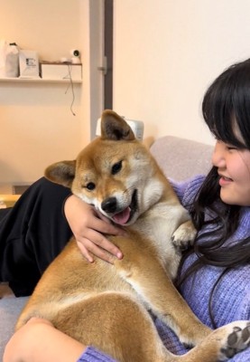 ベビーカーに赤ちゃんと犬を乗せて散歩しようとしたら…思っているのと違う『まさかの光景』に反響「乗りたいのか押したいのかw」「お手伝い」