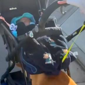 ベビーカーに赤ちゃんと犬を乗せて散歩しようとしたら…思っているのと違う『まさかの光景』に反響「乗りたいのか押したいのかｗ」「お手伝い」