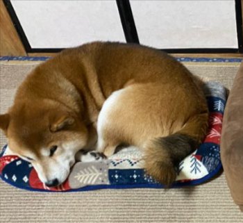狭い