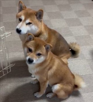 一回り