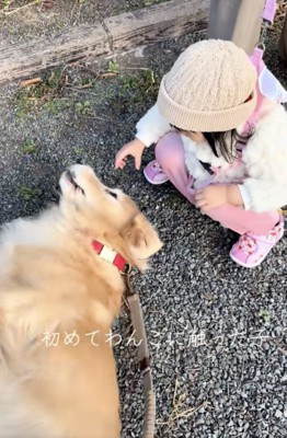 ごろりんっ
