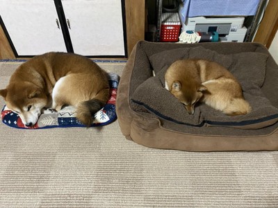 ベッド