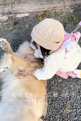 わしゃわしゃ