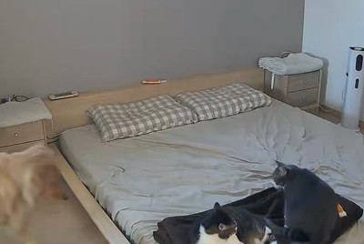 現れる
