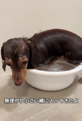 「これでいいか…」