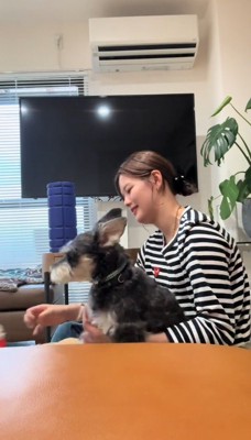 前足でぬいぐるみを吹き飛ばす犬