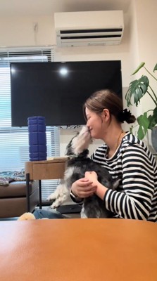 女性の口を舐める犬