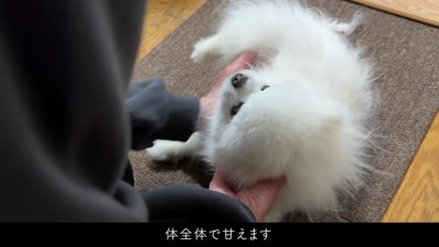 素敵な冬休みになりそう!!