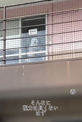 窓辺にいる犬