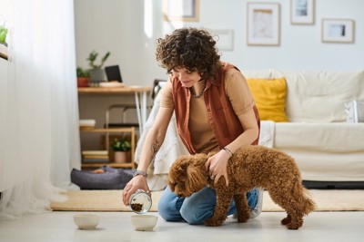 犬にごはんを与えている女性