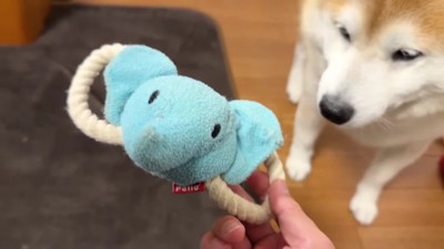 元通りの形に！！