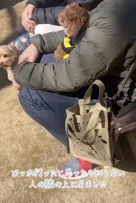 しれっと