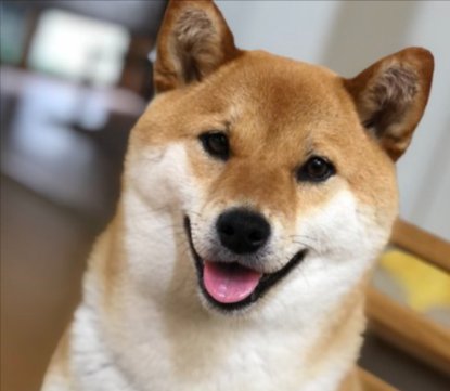 ニコニコ