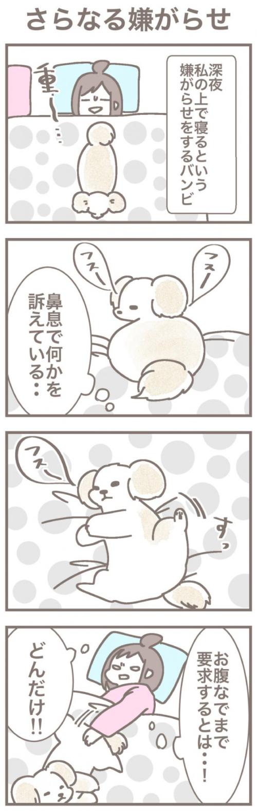 うちの王様にはどうしても抗えない【第339話】