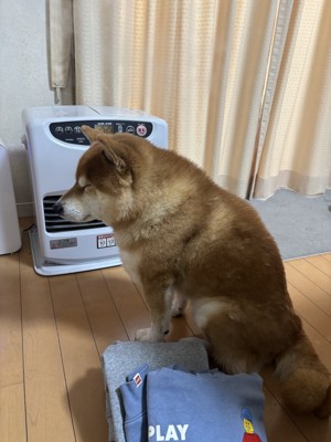 ストーブ