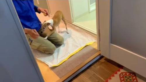 作業員さんに寄っていくことちゃん