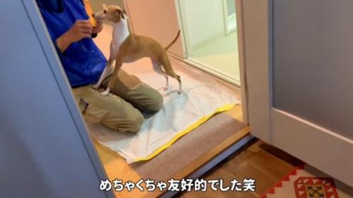 尻尾を振ることちゃん