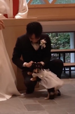 紬ちゃん、お疲れさま