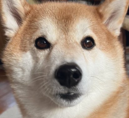あざとい