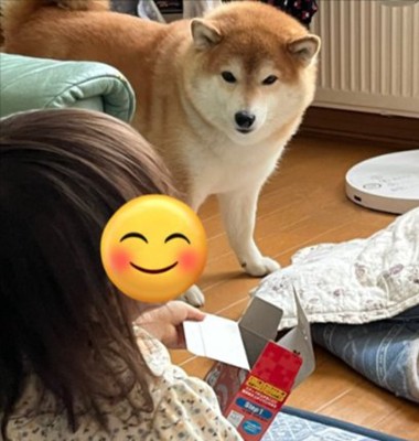 妹