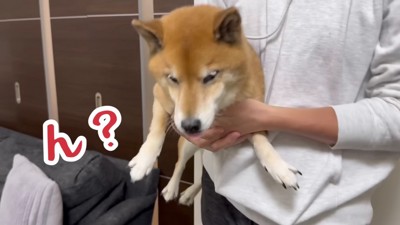 あれだけ抵抗したのに…!?