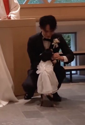 結婚式で『指輪を渡す大役』を任された犬→運んでくれると思ったら…応援したくなる『一生懸命な光景』が25万再生「可愛すぎ」「お利口さん」