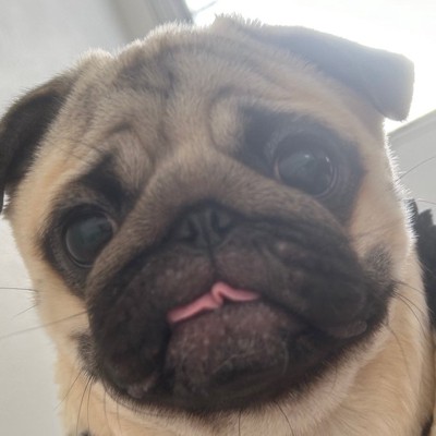舌