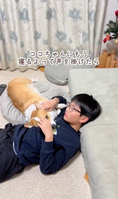 ココちゃんの尊い行動2